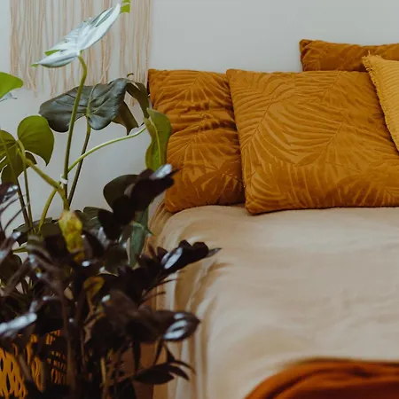 Dom Fotografa W Modrzewiach Dom wakacyjny Wlen