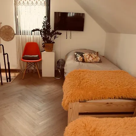 Dom Fotografa W Modrzewiach