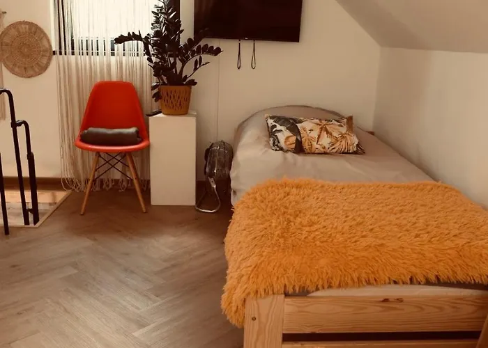 Dom Fotografa W Modrzewiach